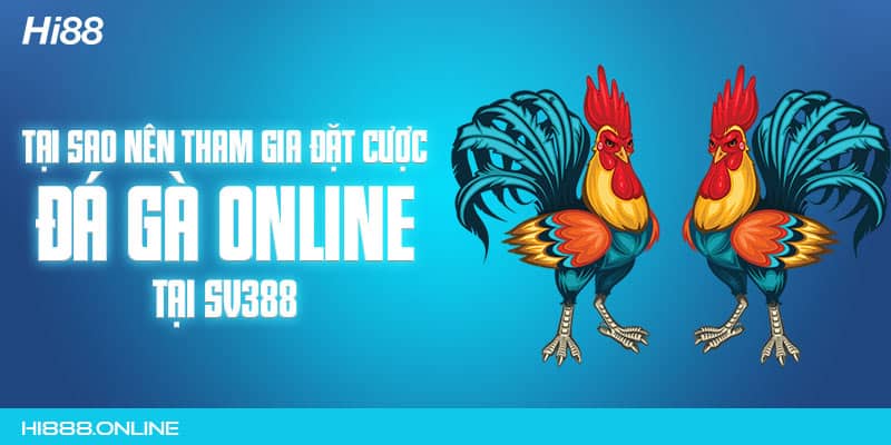 Tại sao nên tham gia đặt cược đá gà online tại Sv388 